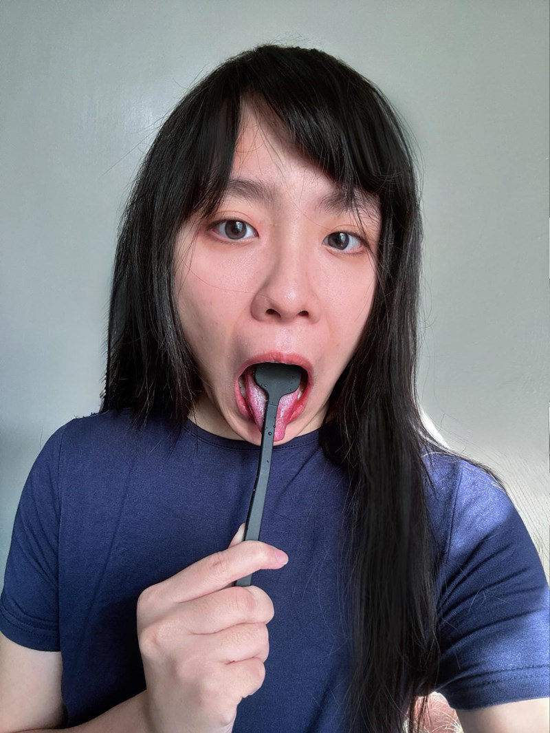 試用